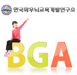 웹어스 포트폴리오 한국좌우뇌교육개발연구소(BGA)